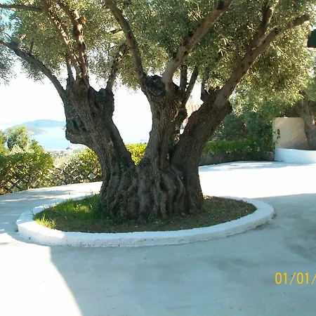 L And M Skiathos Appartamento *